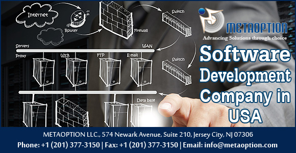 software development company in usa