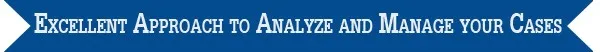 MetaCaseDesk - An Introduction Excellent Approach to Analyze and Manage Your Cases