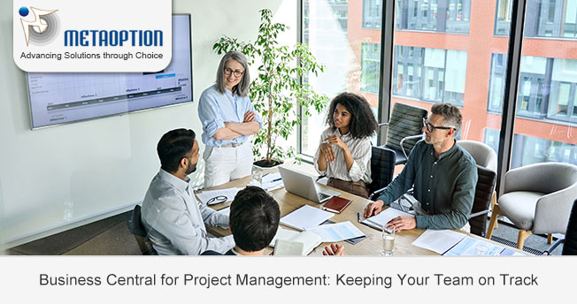 Business Central for Project Management: Keeping Your Team on Track