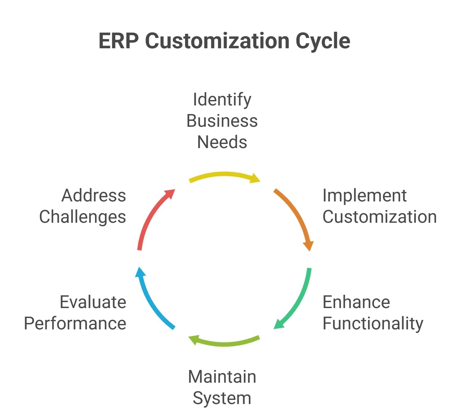 ERP Customization vs Rebuilding