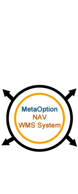 WMS System