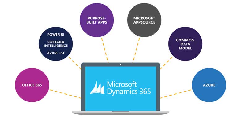 dynaic365 info