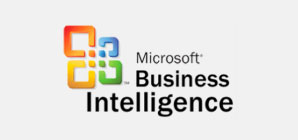 Microsoft Dynamics Business Intelligence